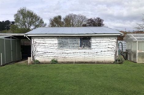 Photo of property in 8 Tekoa Street, Waiau, 7332