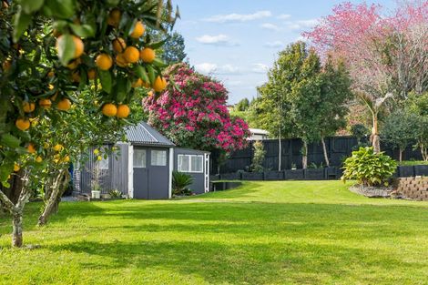 Photo of property in 47b Taniwha Place, Bethlehem, Tauranga, 3176