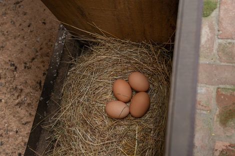 Photo of property in 56 Church Street, Mosgiel, 9024