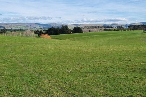 Photo of property in 41 Gray Road, Waitepeka, Balclutha, 9271