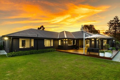 Photo of property in 243 Taylor Pass Road, Witherlea, Blenheim, 7201