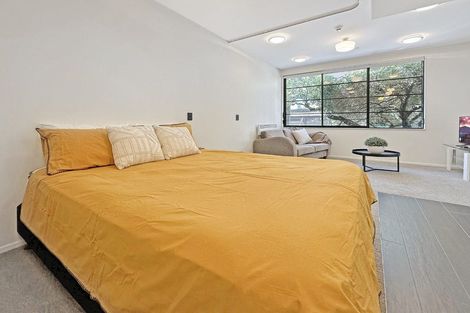 Photo of property in 101/3 Roxburgh Street, Mount Victoria, Wellington, 6011