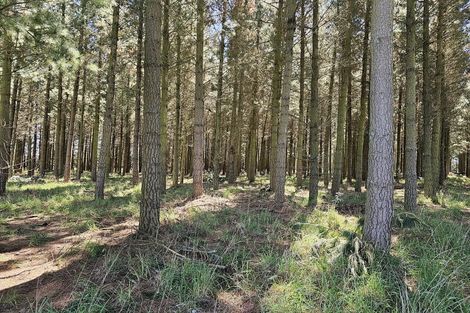 Photo of property in 577 Pesters Road, West Eyreton, Rangiora, 7475