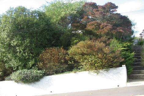 Photo of property in 7 Heath Street, Andersons Bay, Dunedin, 9013