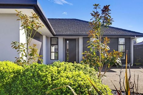 Photo of property in 32 Kahikatea Way, Appleby, Richmond, 7020