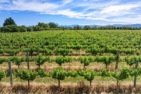 Photo of property in 686 Dillons Point Road, Dillons Point, Blenheim, 7273