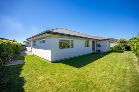 Photo of property in 45 Berryfield Drive, Richmond, 7020