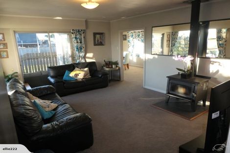 Photo of property in 28 Alma Street, Renwick, 7204