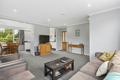 Photo of property in 73 Old Brighton Road, Fairfield, Dunedin, 9018