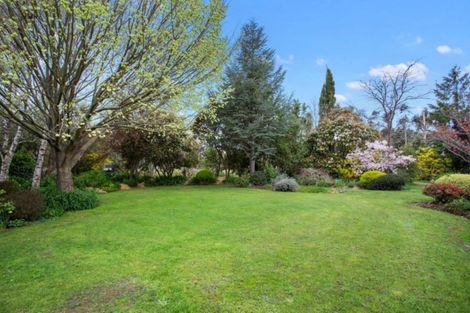 Photo of property in 176 Balcairn Amberley Road, Balcairn, Amberley, 7481