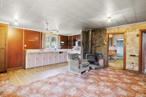 Photo of property in 2 Derwent Street, Naseby, 9396