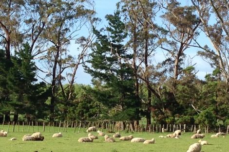 Photo of property in 10 Old Pine Valley Road, Dairy Flat, Silverdale, 0992