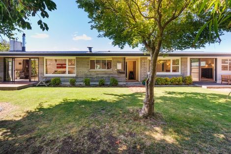 Photo of property in 50 Windsor Street, Terrace End, Palmerston North, 4410