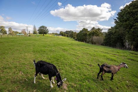 Photo of property in 132 Gibbs Road, Whakapara, Hikurangi, 0182