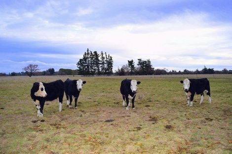 Photo of property in 227 Factory Road, Sefton, 7477