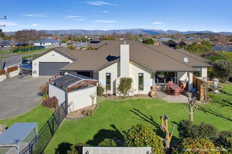 Photo of property in 22 Boyce Street, Renwick, 7204