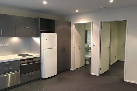 Photo of property in Soho Apartments, 519/74 Taranaki Street, Te Aro, Wellington, 6011