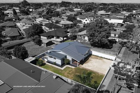 Photo of property in 113 Young Street, Te Awamutu, 3800