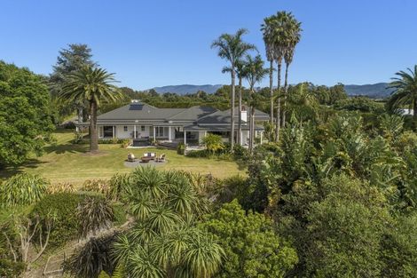 Photo of property in 55 Pukakura Road, Katikati, 3178