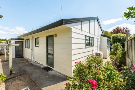 Photo of property in 24b Ashridge Road, Napier South, Napier, 4110