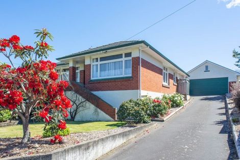 Photo of property in 213 Balmacewen Road, Wakari, Dunedin, 9010