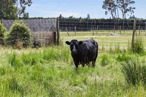 Photo of property in 151 Flaxton Road, Flaxton, Kaiapoi, 7691