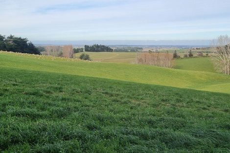 Photo of property in 41 Gray Road, Waitepeka, Balclutha, 9271