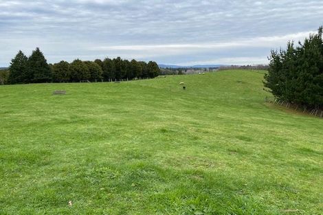 Photo of property in 1302 Pongakawa Bush Road, Pongakawa, Te Puke, 3186