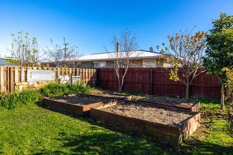 Photo of property in 49 Ferry Road, Spring Creek, 7202