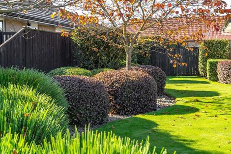 Photo of property in 61 Armstrong Avenue, Carterton, 5713