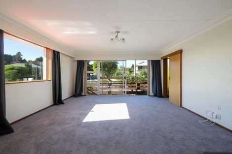 Photo of property in 378 Taieri Road, Halfway Bush, Dunedin, 9010