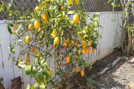 Photo of property in 25b Wairakei Street, Greenlane, Auckland, 1051