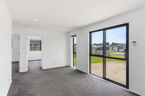 Photo of property in 97 Hinemoa Street, Levin, 5510