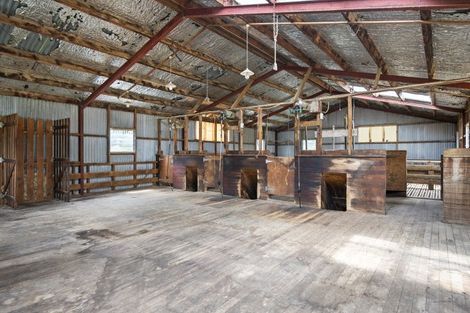 Photo of property in 373 Colyton Road, Colyton, Feilding, 4775