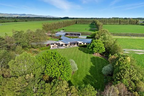 Photo of property in 247 Collins Road, Lincoln, Christchurch, 7674