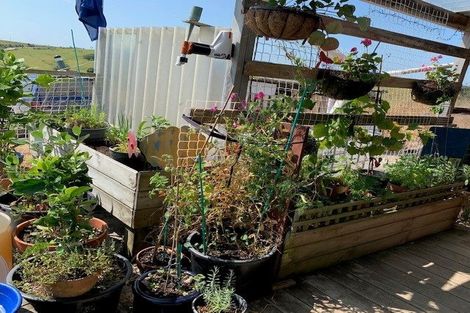 Photo of property in 150 Hall Road, Sawyers Bay, Port Chalmers, 9023