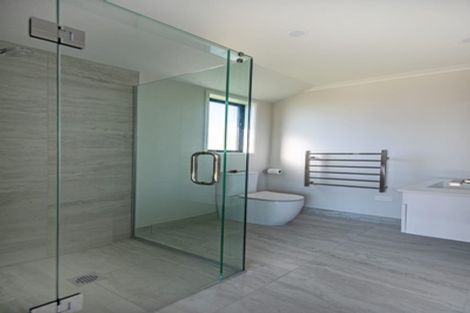 Photo of property in 101 Harriet Johnston Drive, Pokeno, 2402