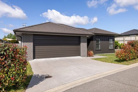 Photo of property in 6 Coad Lane, Pyes Pa, Tauranga, 3112