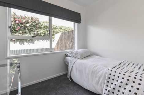 Photo of property in 3/505 Burnett Street, Mahora, Hastings, 4120