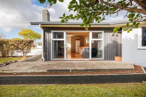 Photo of property in 132 Limbrick Street, Terrace End, Palmerston North, 4410