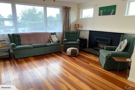 Photo of property in 20 Fergusson Street, Solway, Masterton, 5810