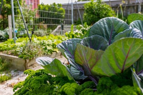 Photo of property in 704b Papamoa Beach Road, Papamoa Beach, Papamoa, 3118