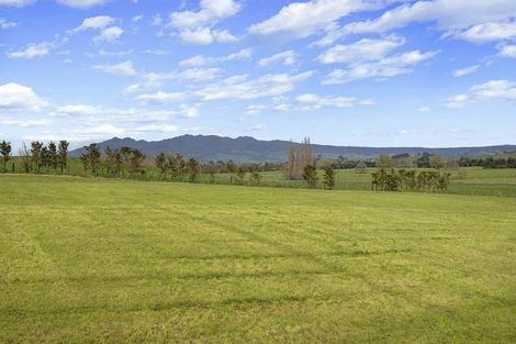 Photo of property in 99 Old School Road, Ngahinapouri, Ohaupo, 3290