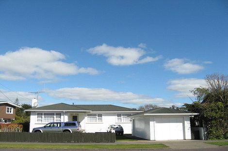 Photo of property in 24 Hammond Street, Marton, 4710