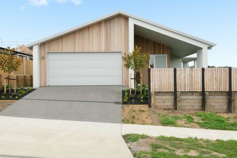 Photo of property in 20 Ruba Way, Ohauiti, Tauranga, 3112