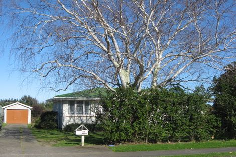 Photo of property in 55 Taumaihi Street, Bulls, 4818