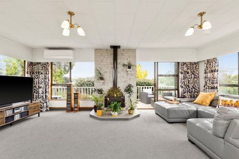 Photo of property in 410a Hemi Street, Raureka, Hastings, 4120