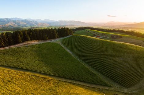 Photo of property in 417 Delta Lake Heights, Renwick, Blenheim, 7271