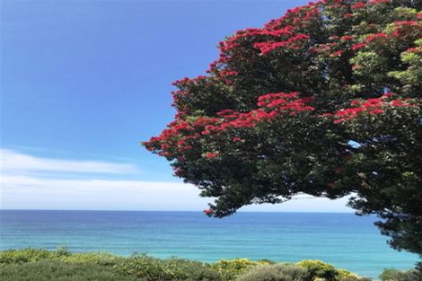 Photo of property in 59 Cliffs Road, Saint Clair, Dunedin, 9012