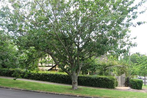 Photo of property in 1 Bingley Avenue, Epsom, Auckland, 1023